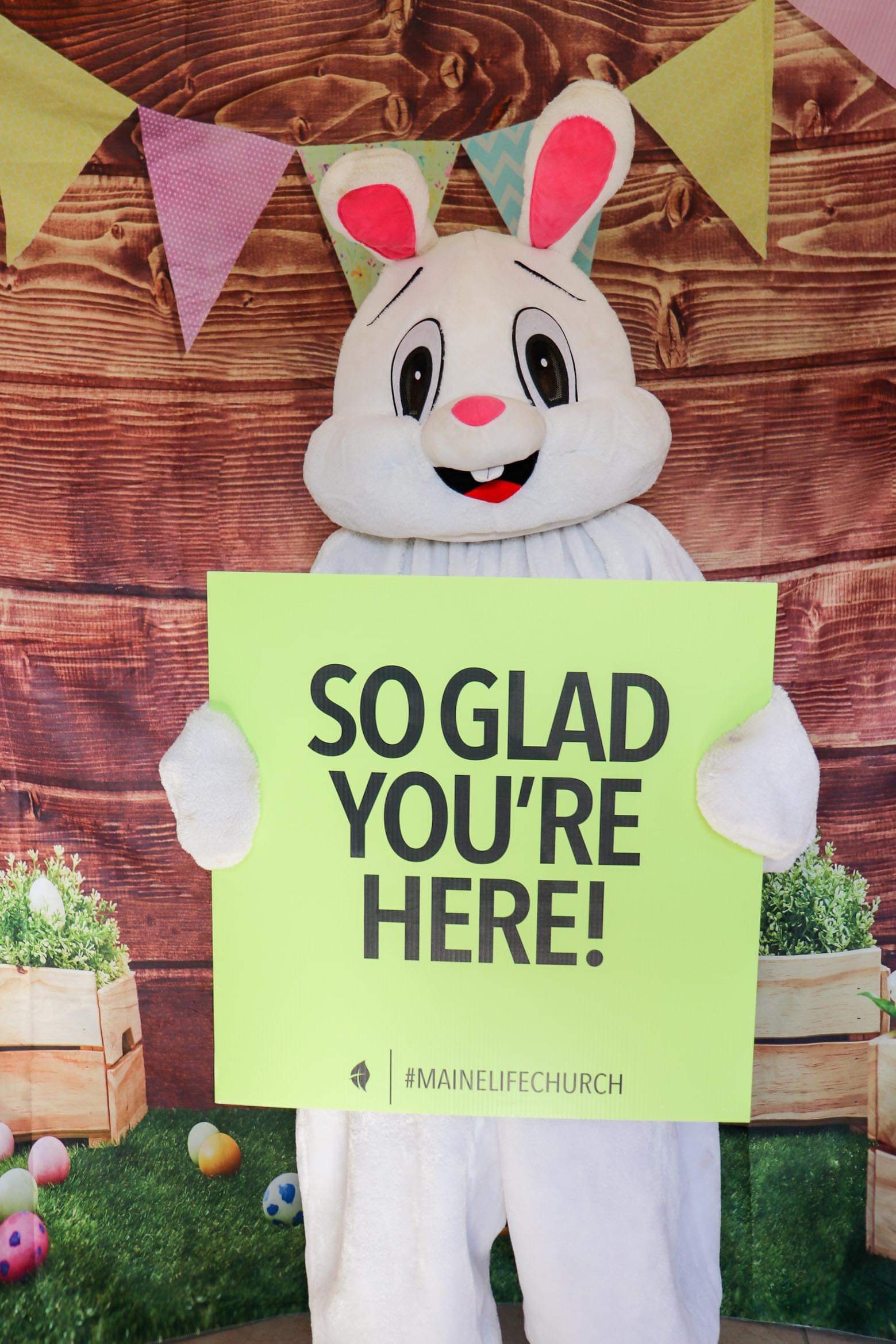 bunny holding a sign that says so glad you're here